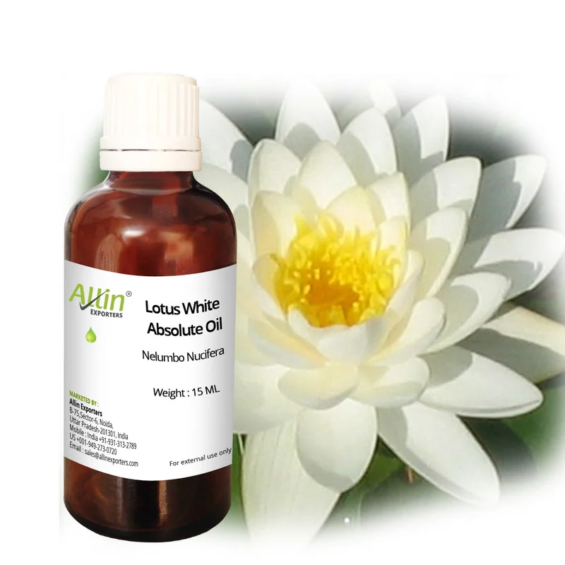 HOLY OIL WHITE 100ML LOTUS