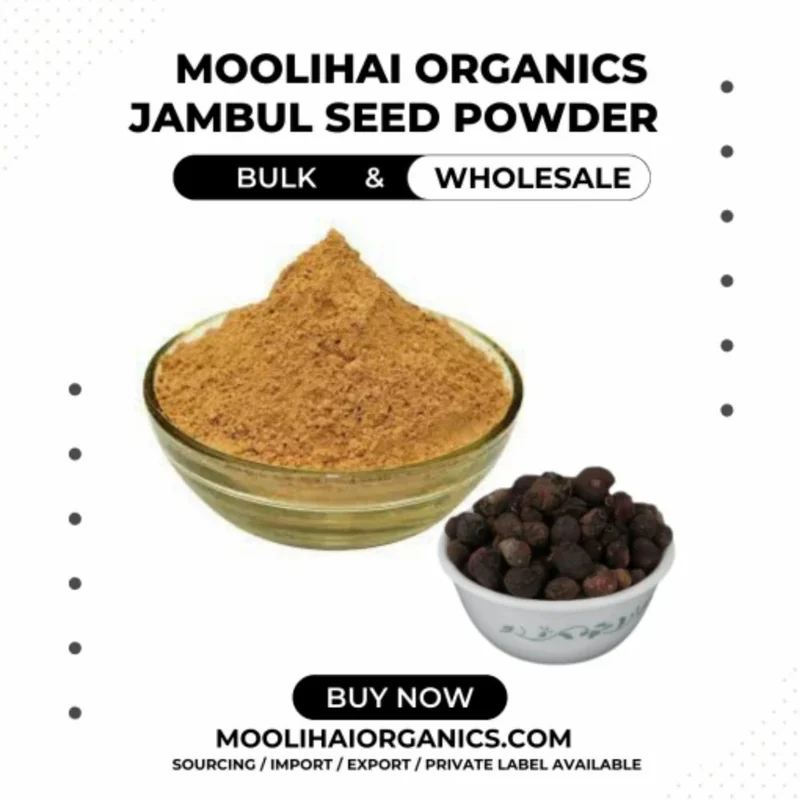JABULA POWDER BEGUM