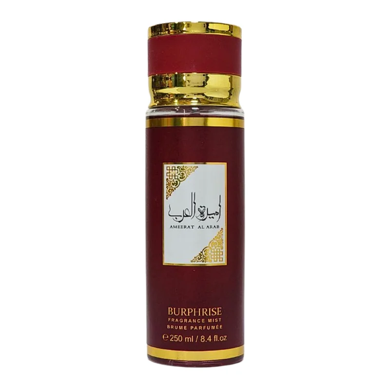 BODY MIST BURPHRISE 250ML
