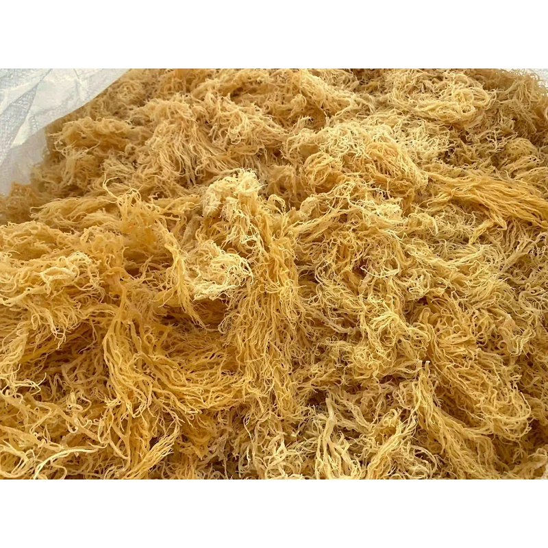 SEA MOSS RAW 50G GRENICO