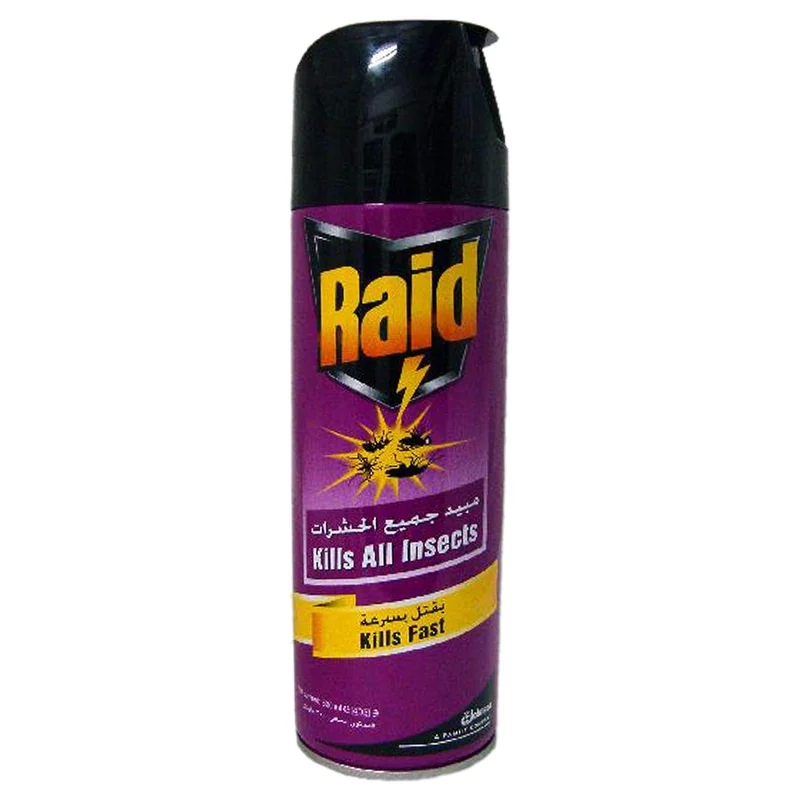 RAID D/PURPOSE M/INSECT KILLER