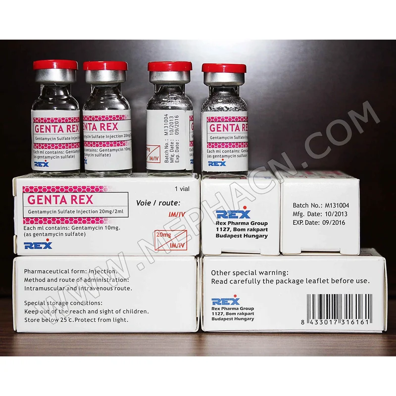 INJ GENTAMYCIN 20MG/2ML